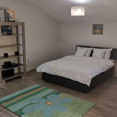 Viking Apartment Grigo Κλουζ-Ναπόκα Εξωτερικό φωτογραφία