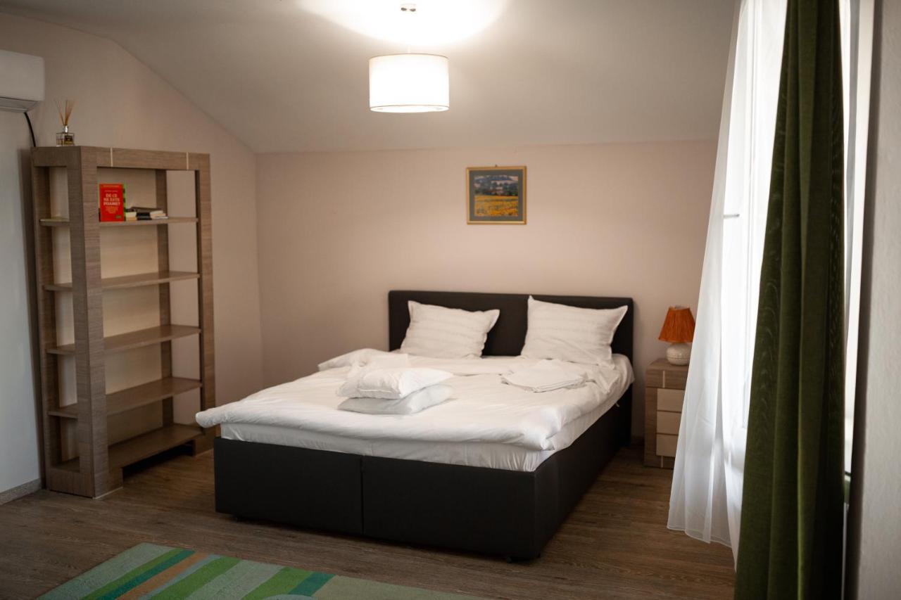 Viking Apartment Grigo Κλουζ-Ναπόκα Εξωτερικό φωτογραφία
