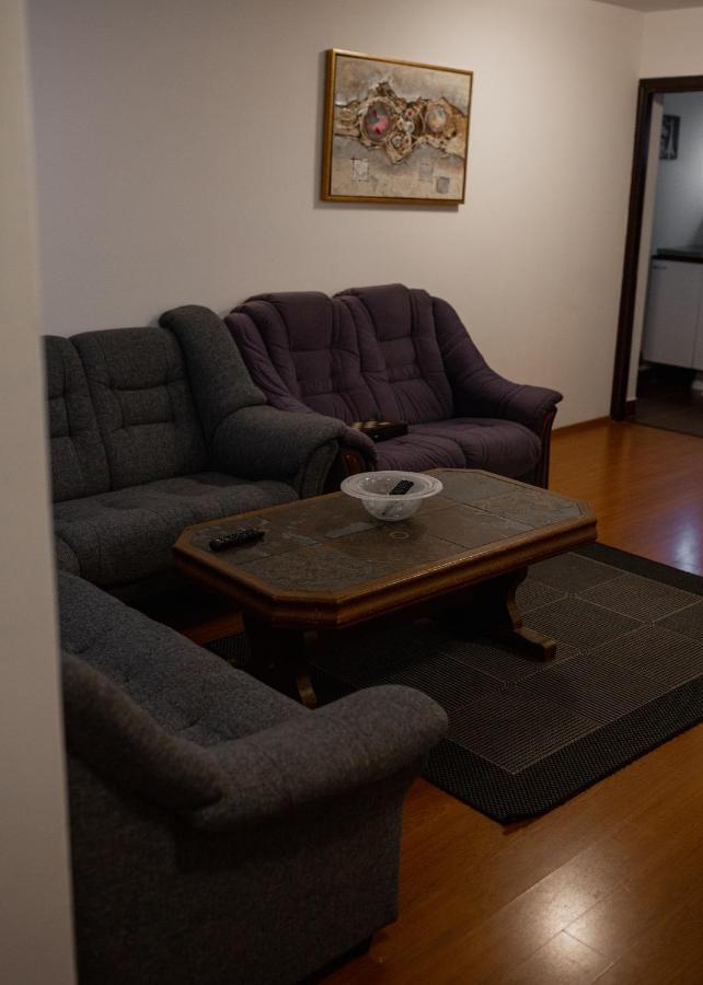 Viking Apartment Grigo Κλουζ-Ναπόκα Εξωτερικό φωτογραφία