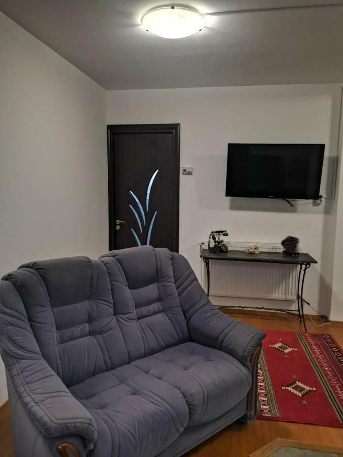 Viking Apartment Grigo Κλουζ-Ναπόκα Δωμάτιο φωτογραφία