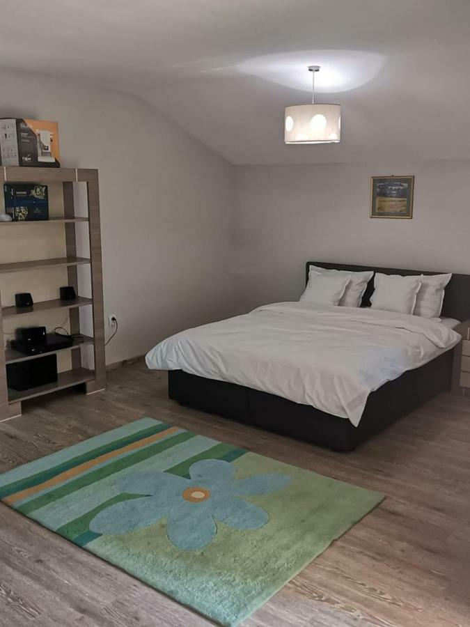 Viking Apartment Grigo Κλουζ-Ναπόκα Εξωτερικό φωτογραφία